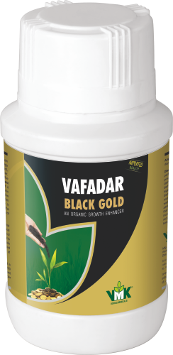 VAFADAR BLACK GOLD