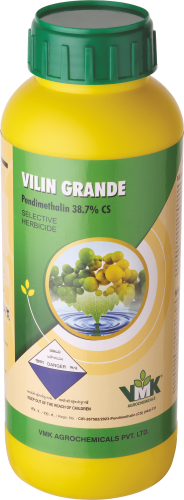 VILIN GRANDE