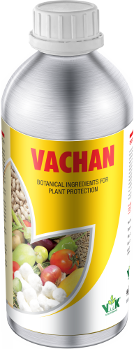 VACHAN