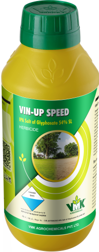 VIN-UP SPEED