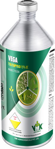VEGA